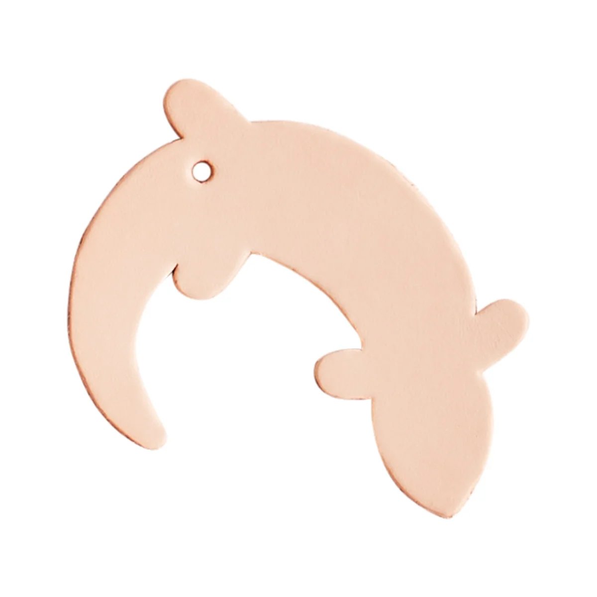 Great Shapes Lizard - Lot De 25 Commande Spéciale - Fourniture maroquinerie cuir