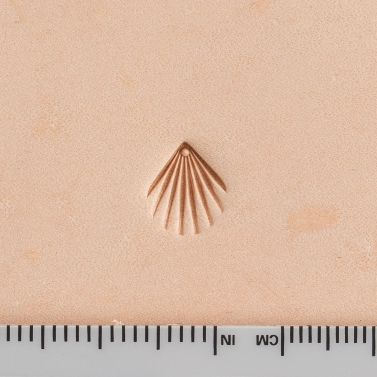 Matoir De Remplissage De Coquillages - #2 - Détail produit