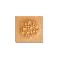 M882 Matoirs Craftool® Pour Tapis
