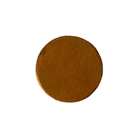 Teinture WATERSTAIN 100Ml