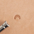 Matoir Frontaliers À 7 Graines - Image 12