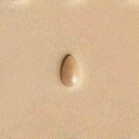 P703 Matoir Craftool® Sur L'Ombrage Des Poires - Fourniture maroquinerie cuir