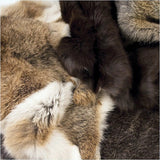 Peaux De Lapin - Vue alternative