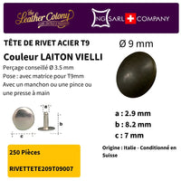 Rivets En Acier (Tete) 4 Couleurs - Zoom détaillé