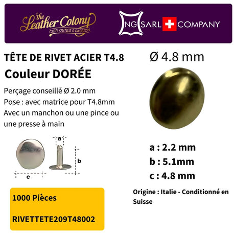 Rivets En Acier (Tete) 4 Couleurs - Image 6